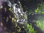 Starvation Creek