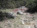 IMG 0667