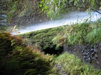 eaglecreek012