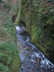 IMG_0872.JPG