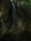 IMG_0725.jpg