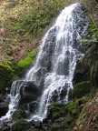 IMG_1041.jpg