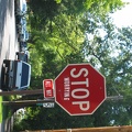 in Ashland even the stop signs are sages